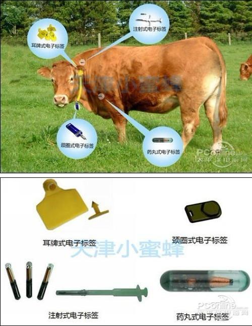 rfid在动物养殖方面的应用